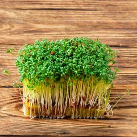 Микрозелень кресс-салата